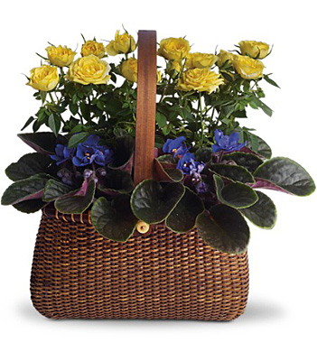 Garden To Go Basket